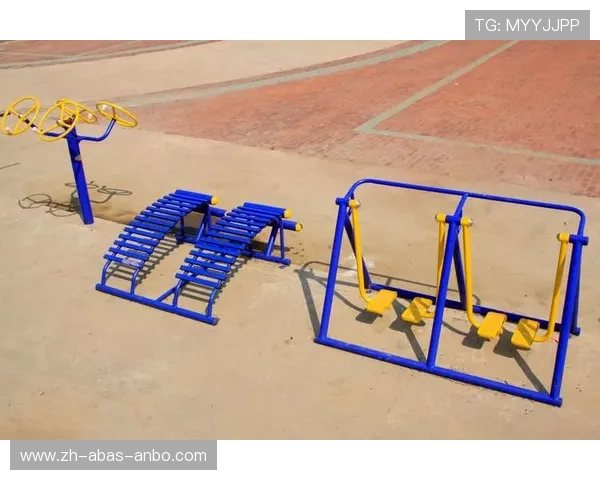 如何科学评估健身器材性能及其对健康的影响