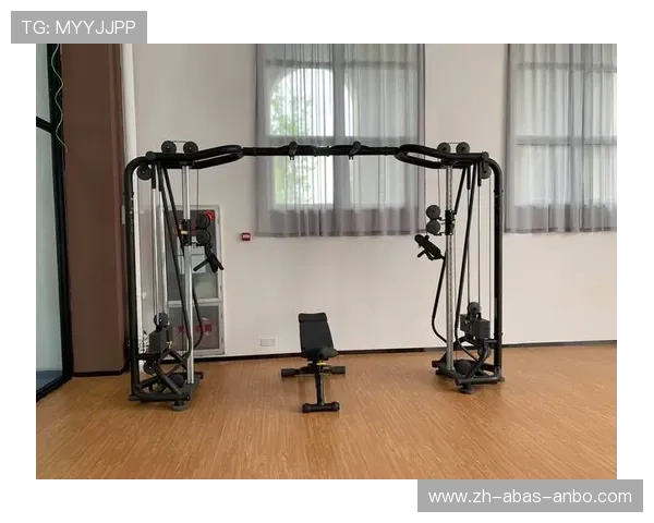 高端进口健身器材：提升家庭健身体验的最佳选择